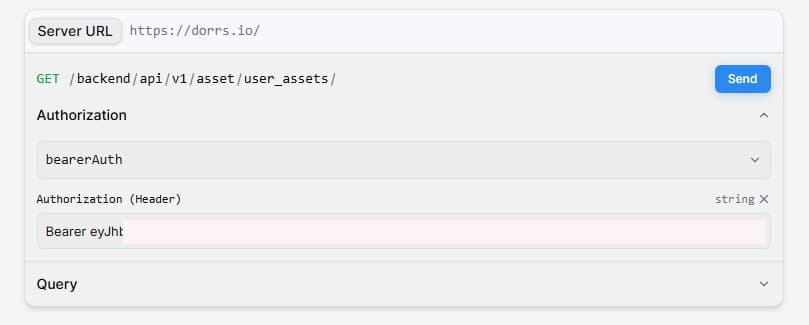 Pasting your token into the Authorization field